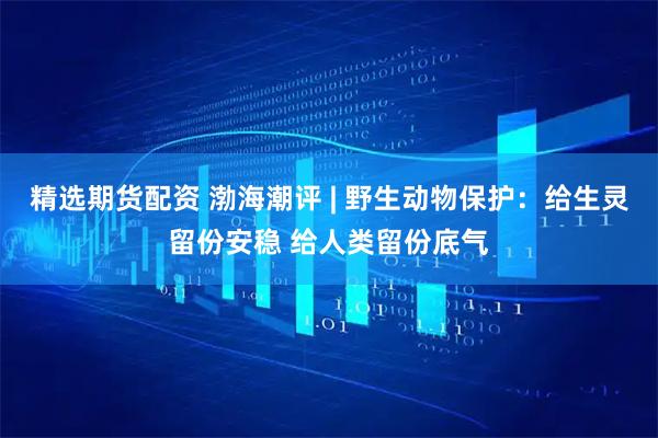 精选期货配资 渤海潮评 | 野生动物保护：给生灵留份安稳 给人类留份底气