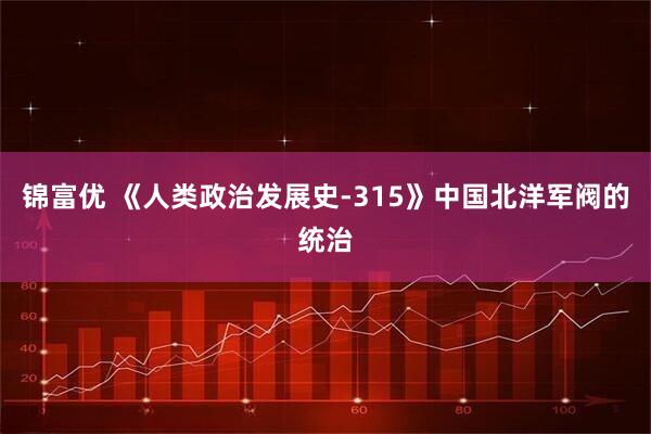 锦富优 《人类政治发展史-315》中国北洋军阀的统治