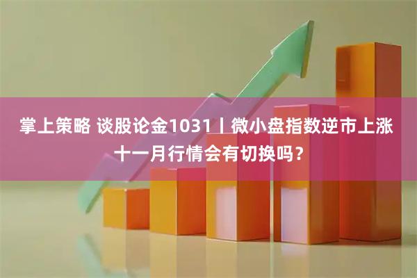 掌上策略 谈股论金1031丨微小盘指数逆市上涨 十一月行情会有切换吗？