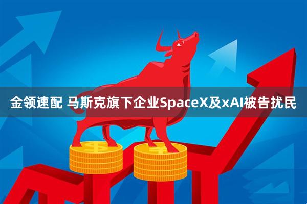 金领速配 马斯克旗下企业SpaceX及xAI被告扰民
