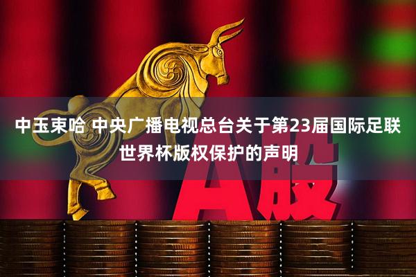 中玉束哈 中央广播电视总台关于第23届国际足联世界杯版权保护的声明